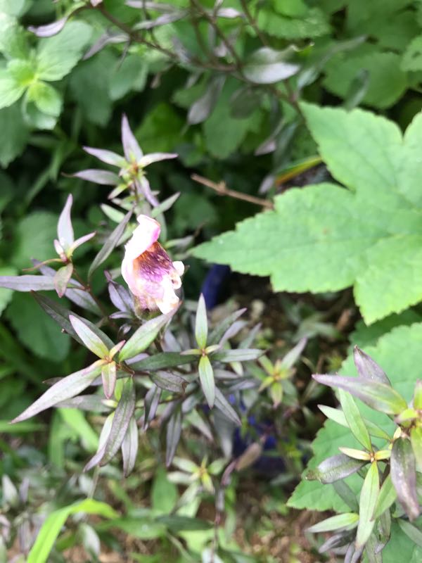 rblog-20180628172147-08.jpg
