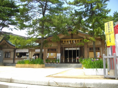 亀山八幡宮社殿 (500x375).jpg