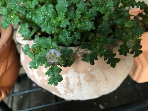 rblog-20180429183115-08.jpg