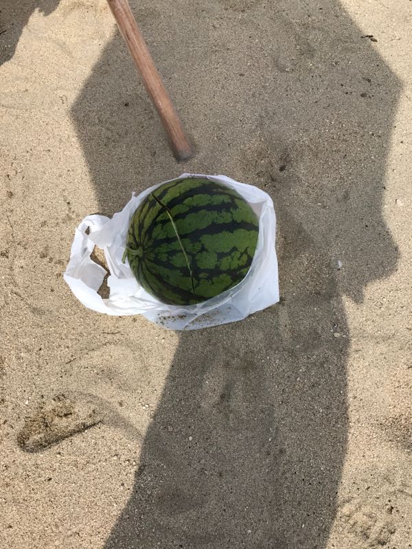 rblog-20180723195305-05.jpg