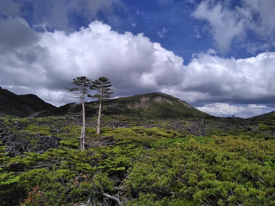 北八ヶ岳の坪庭 醍醐山と下部 しもべ 温泉 楽天ブログ