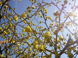 rblog-20140312003501-01.jpg