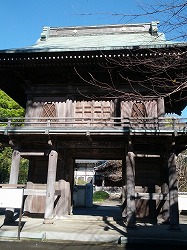 国分寺.jpg