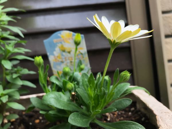 rblog-20180430174315-00.jpg