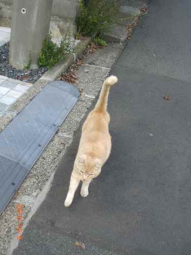 PICT0007.JPG