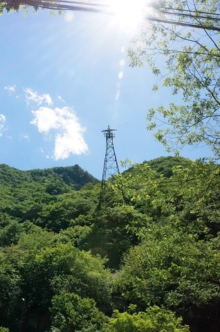 DSC08561.JPG
