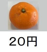 カード みかん 作成 お金の計算学習用 おっくうの教材作成日記 楽天ブログ