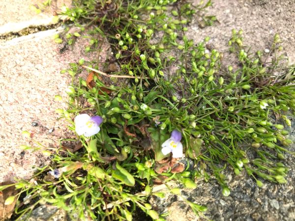rblog-20190401163447-03.jpg