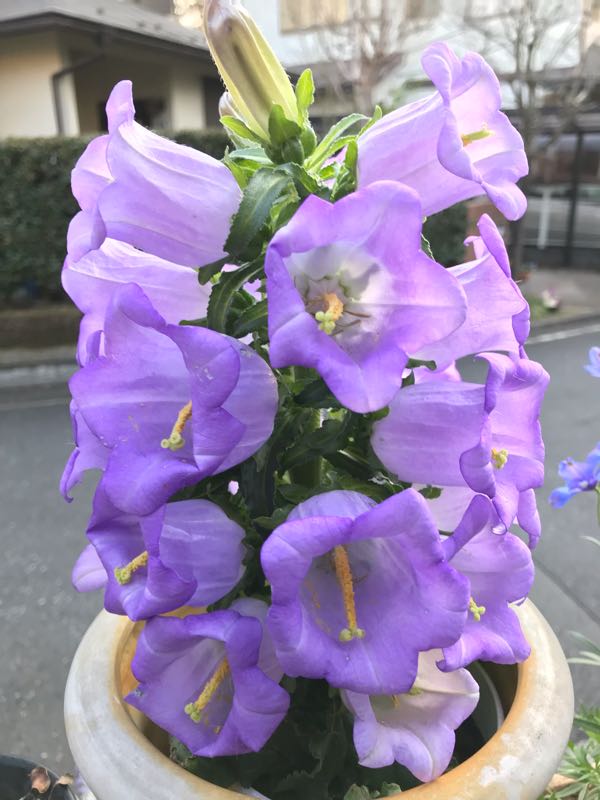 rblog-20190324174614-02.jpg