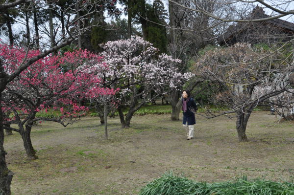 内山邸