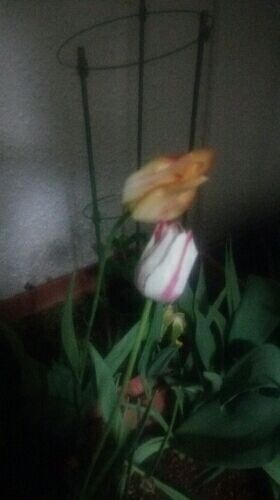 rblog-20170503033528-00.jpg