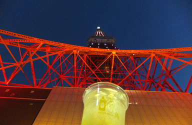 HIGHBALLGARDEN5