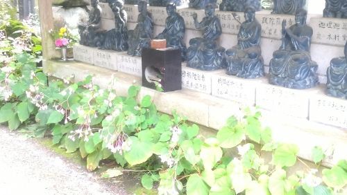 rblog-20180924065548-03.jpg