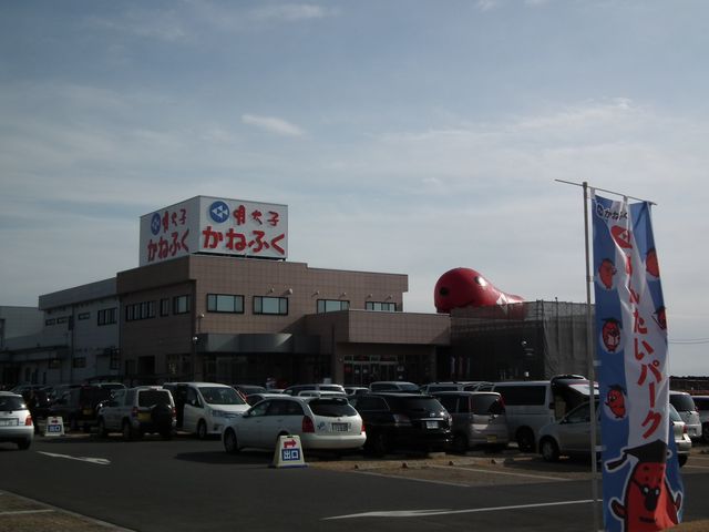 DSCF2235.JPG