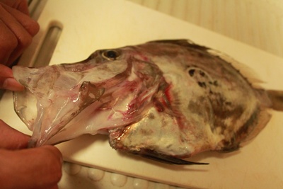IMG010703.JPG