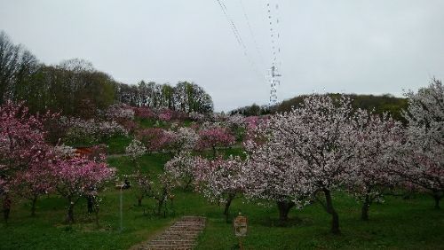 rblog-20180506084303-00.jpg