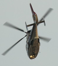 5DA_9638-15.jpg