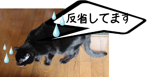 IMG_0432.png