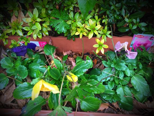 rblog-20150222132411-03.jpg