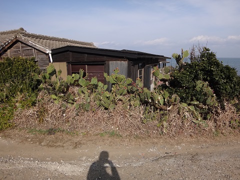 DSC08019.JPG