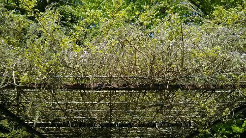 rblog-20170501002918-01.jpg