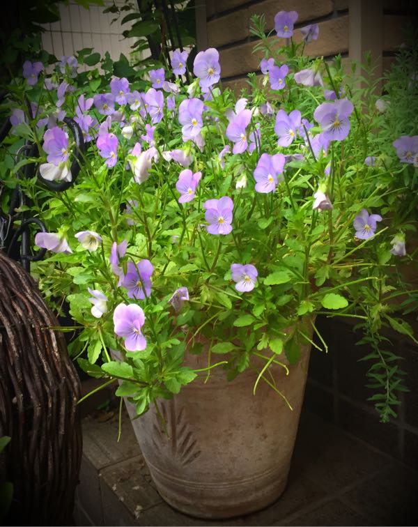 rblog-20160530192740-09.jpg