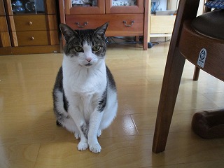 IMG_5093ss.jpg