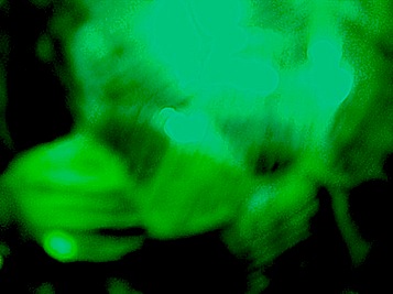 120229_192204.jpg