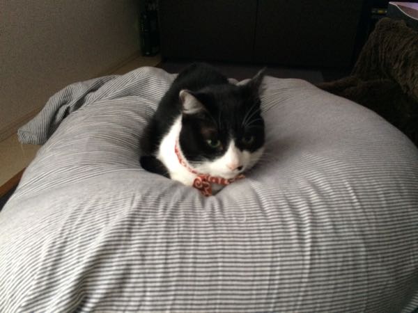 rblog-20151029063454-02.jpg
