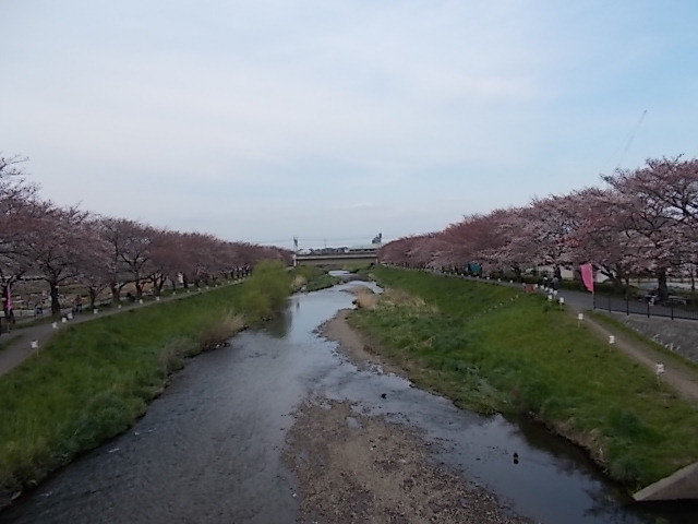 ニコン初撮り 032.JPG