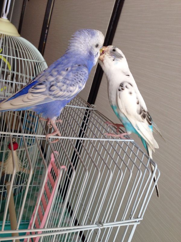 rblog-20140201130930-02.jpg
