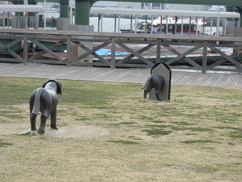 犬も歩けば・・・・・