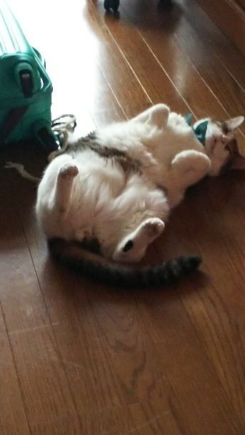 rblog-20170921233631-01.jpg