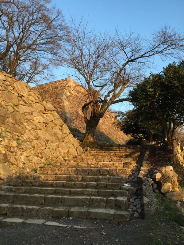 rblog-20150314114529-01.jpg