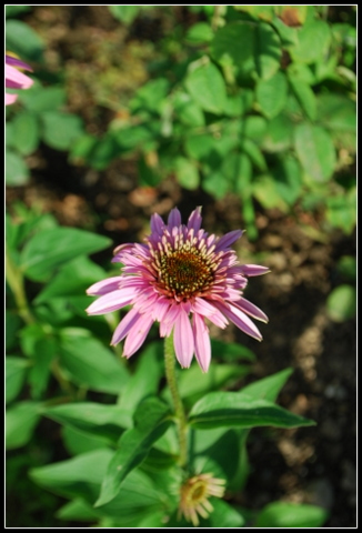DSC_0023.JPG