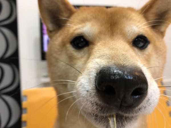 rblog-20190108115725-06.jpg