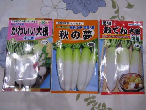 新しく大根 蕪の種を買いました サニーレタスのポット上げ のんびり しましょうよ 楽天ブログ