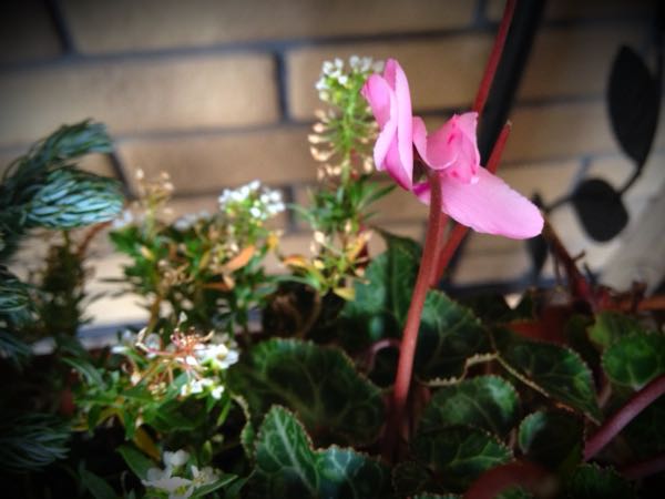 rblog-20141225200421-01.jpg