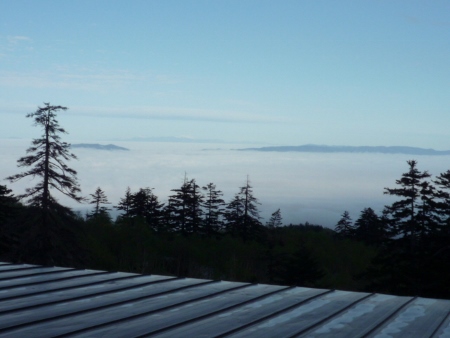 P1030073 (450x338).jpg
