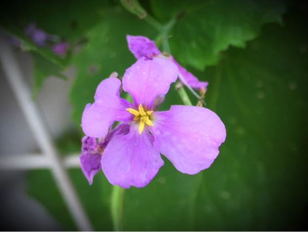 rblog-20160527132530-09.jpg