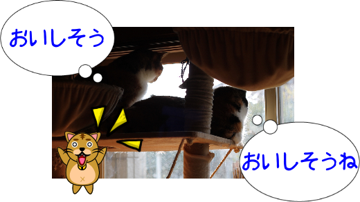 IMG_1451.png