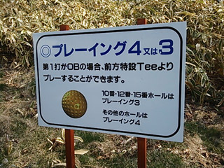 ビッグスギ140426-3