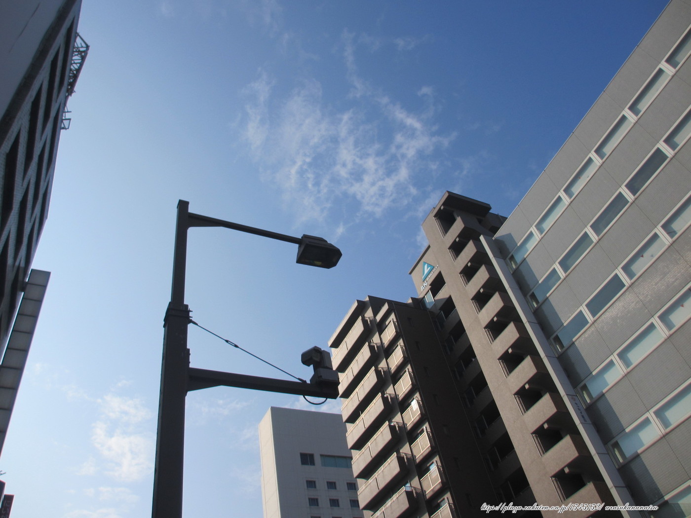 0341 夏空.jpg