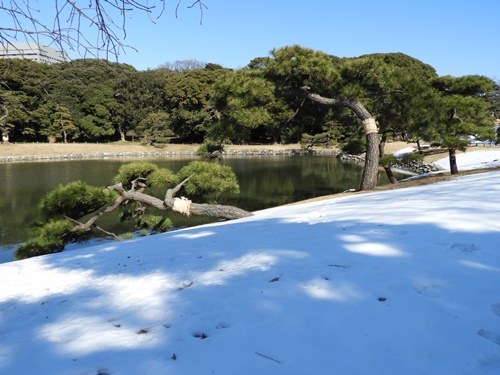 浜離宮恩賜庭園にて