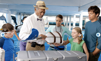 Dolphin-Tale3.jpg