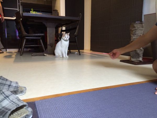 rblog-20150920062641-04.jpg