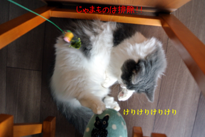 mumu7.jpg