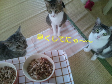 20120904_4.jpg