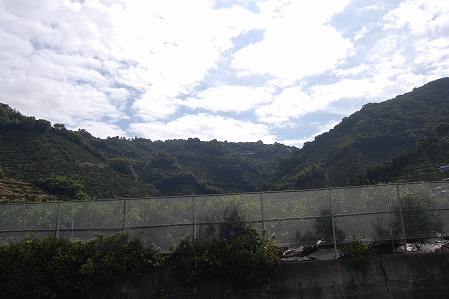 s-DSC_0430.jpg