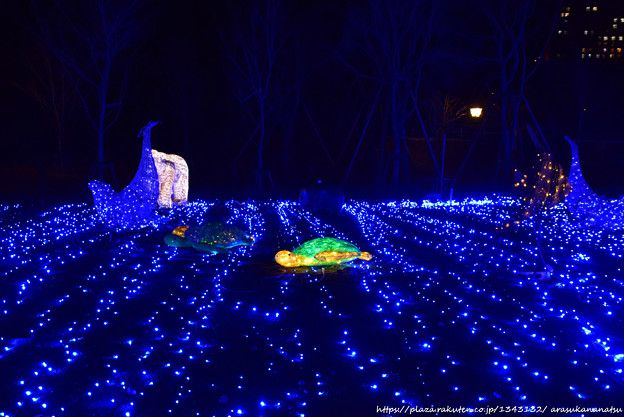 \u30cf\u30a6\u30b9\u30c6\u30f3\u30dc\u30b9\u3078 \u305d\u306e1 \u30a4\u30eb\u30df\u7d9a\u304d | \u4eca\u65e5\u306e\u4e88\u5b9a - \u697d\u5929\u30d6\u30ed\u30b0